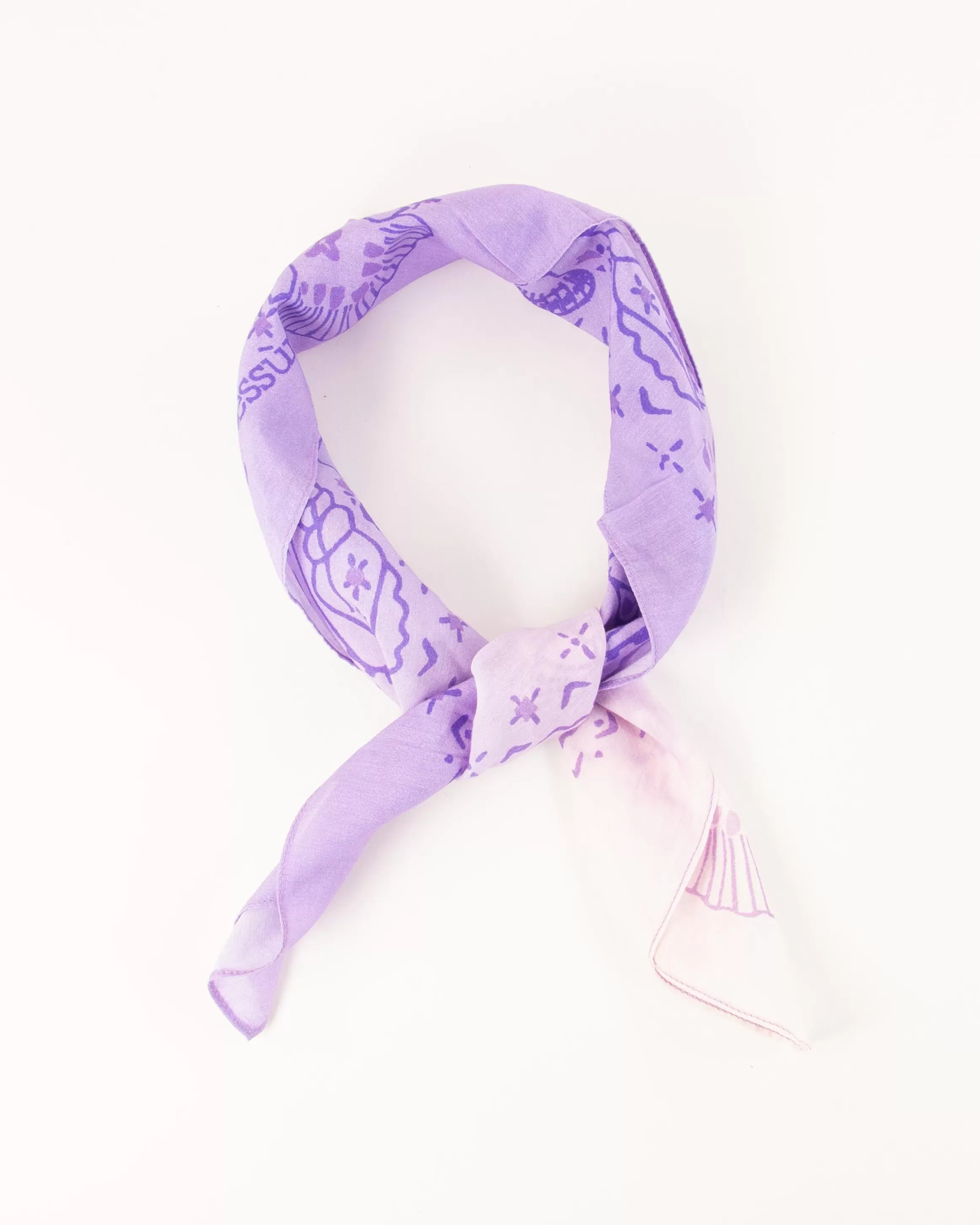 bandashell_26224.webp Sessùn Bandashell