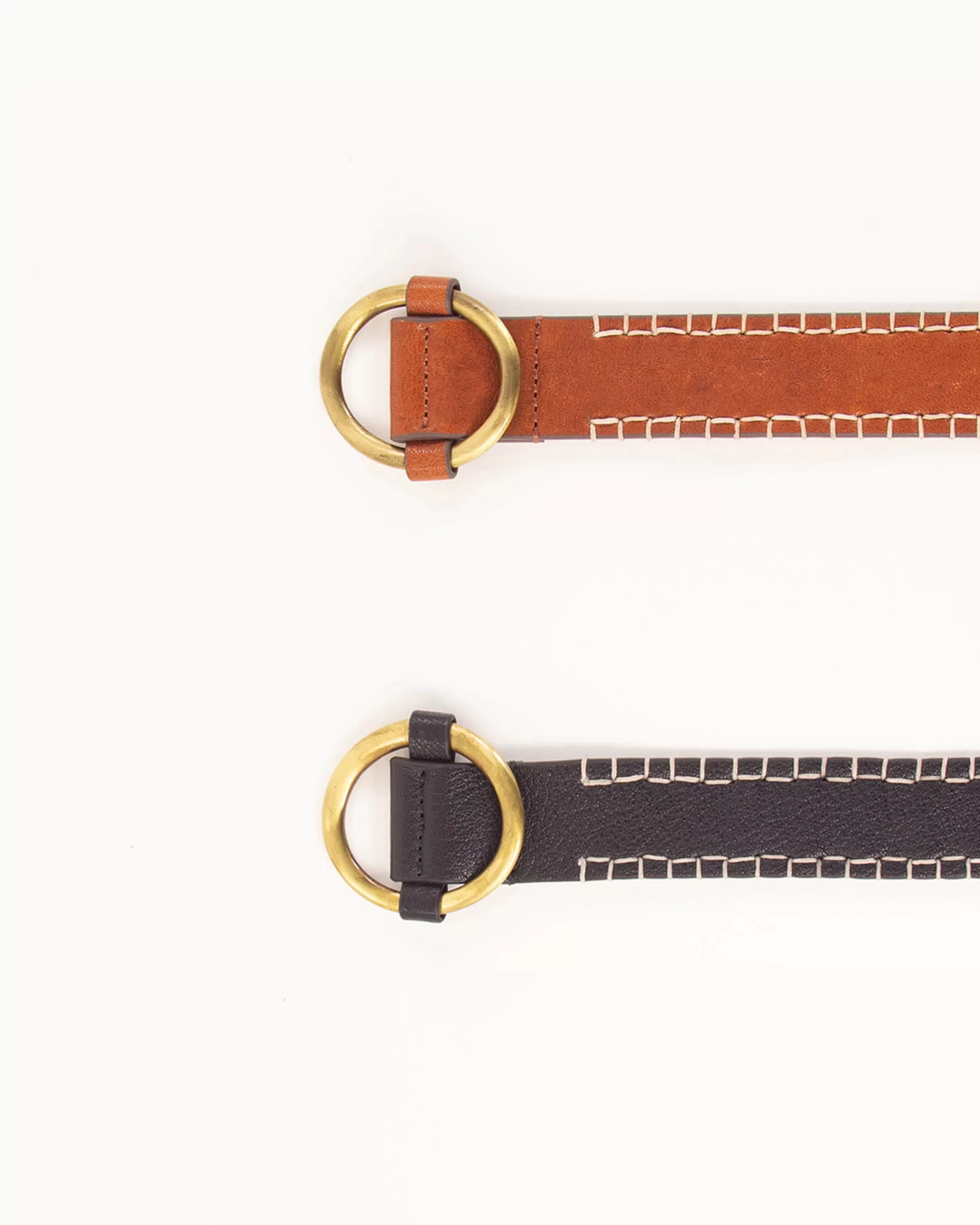 brodity_21370.webp Sessùn Brodity