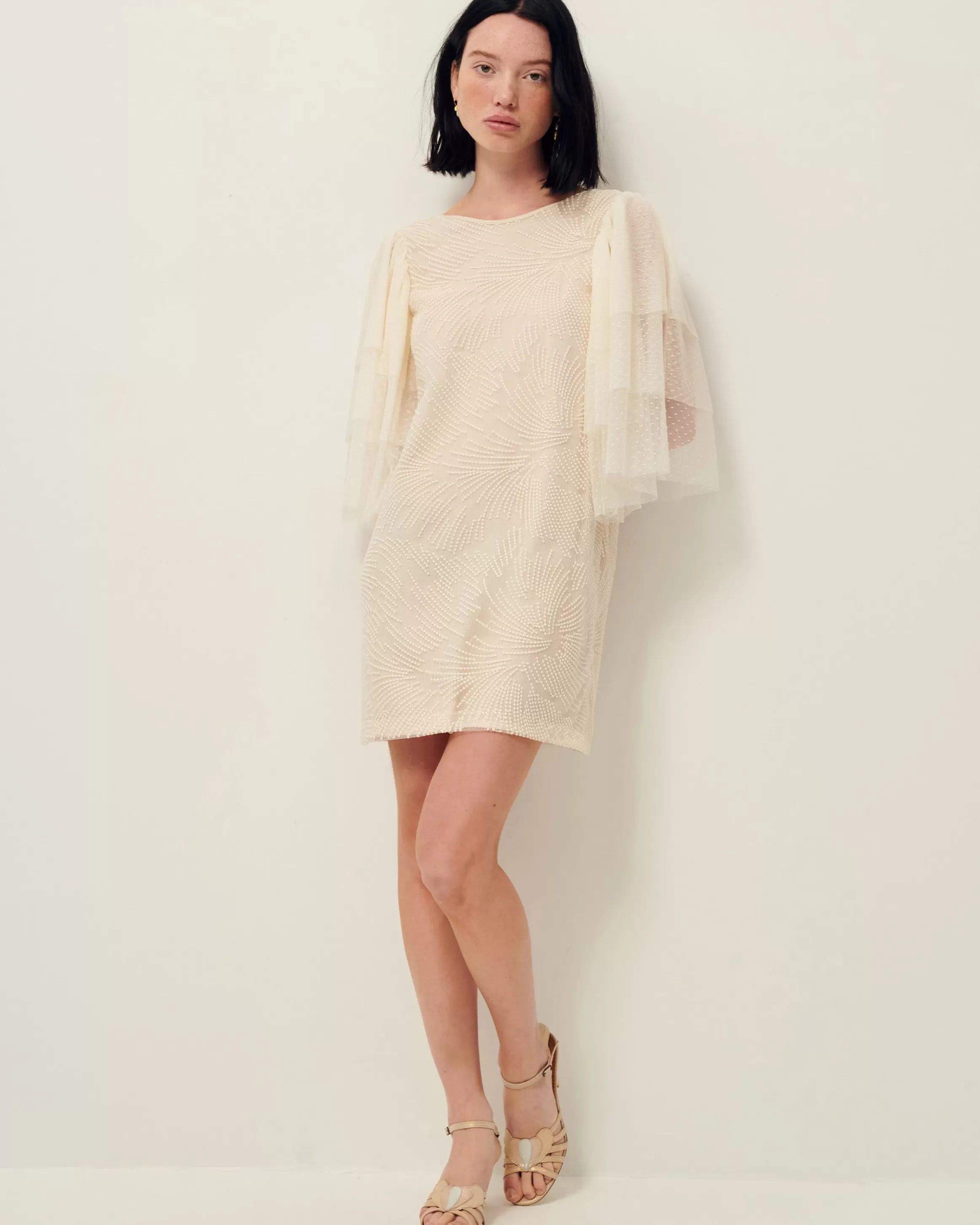 colomba_19178.webp Sessùn Colomba