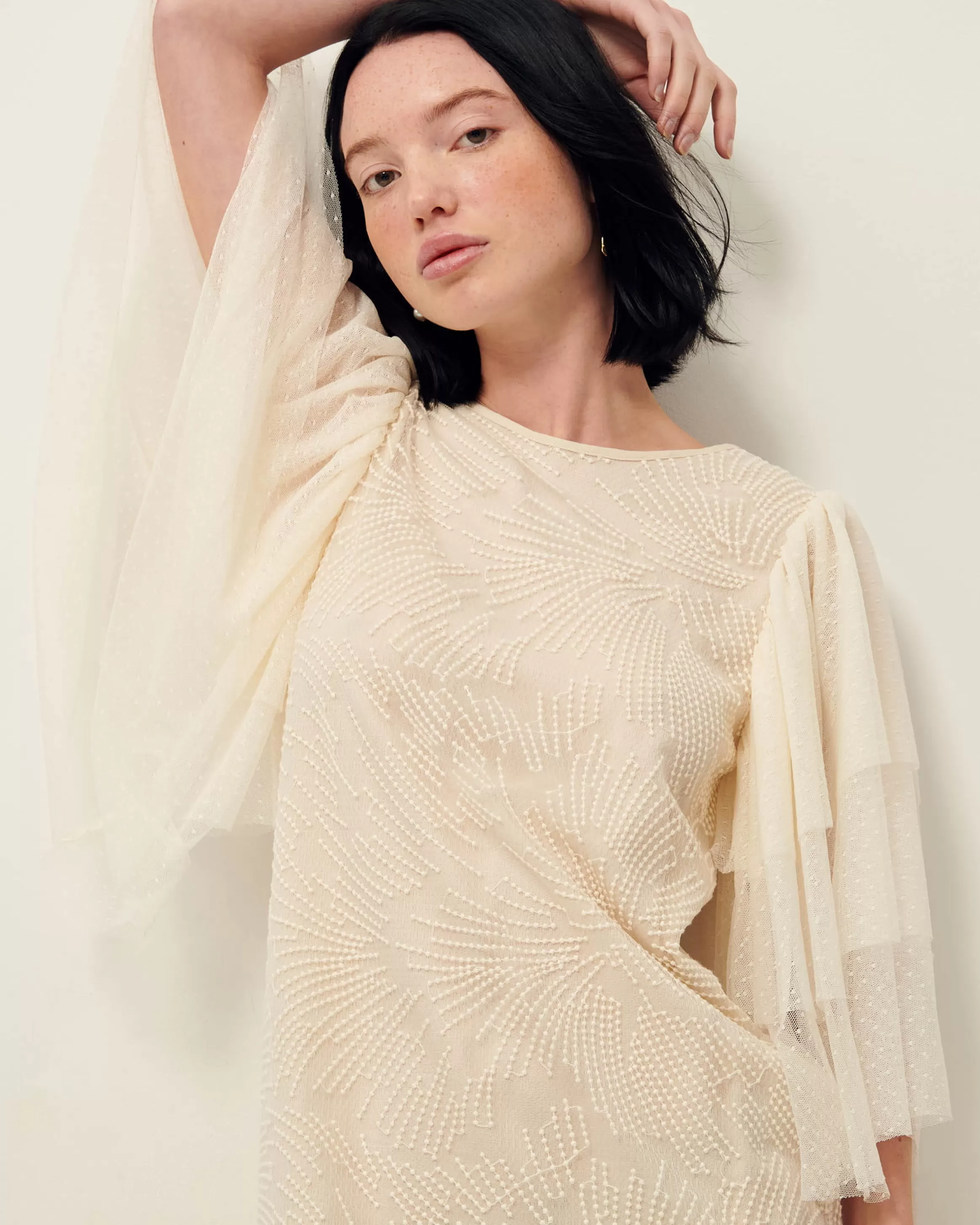 colomba_19469.webp Sessùn Colomba