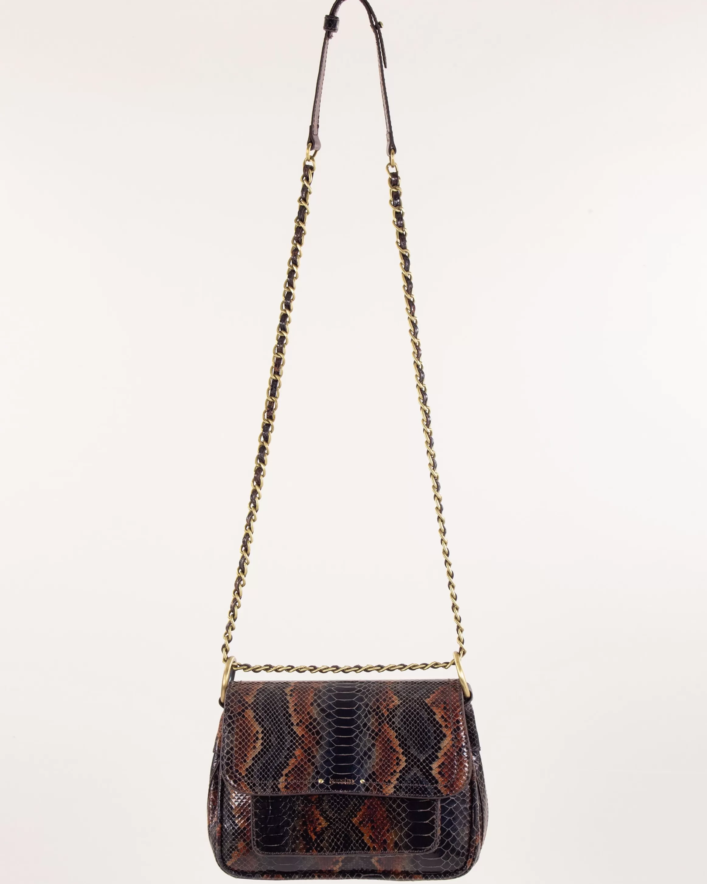 niu_mimita_21779.webp Sessùn Niu mimita